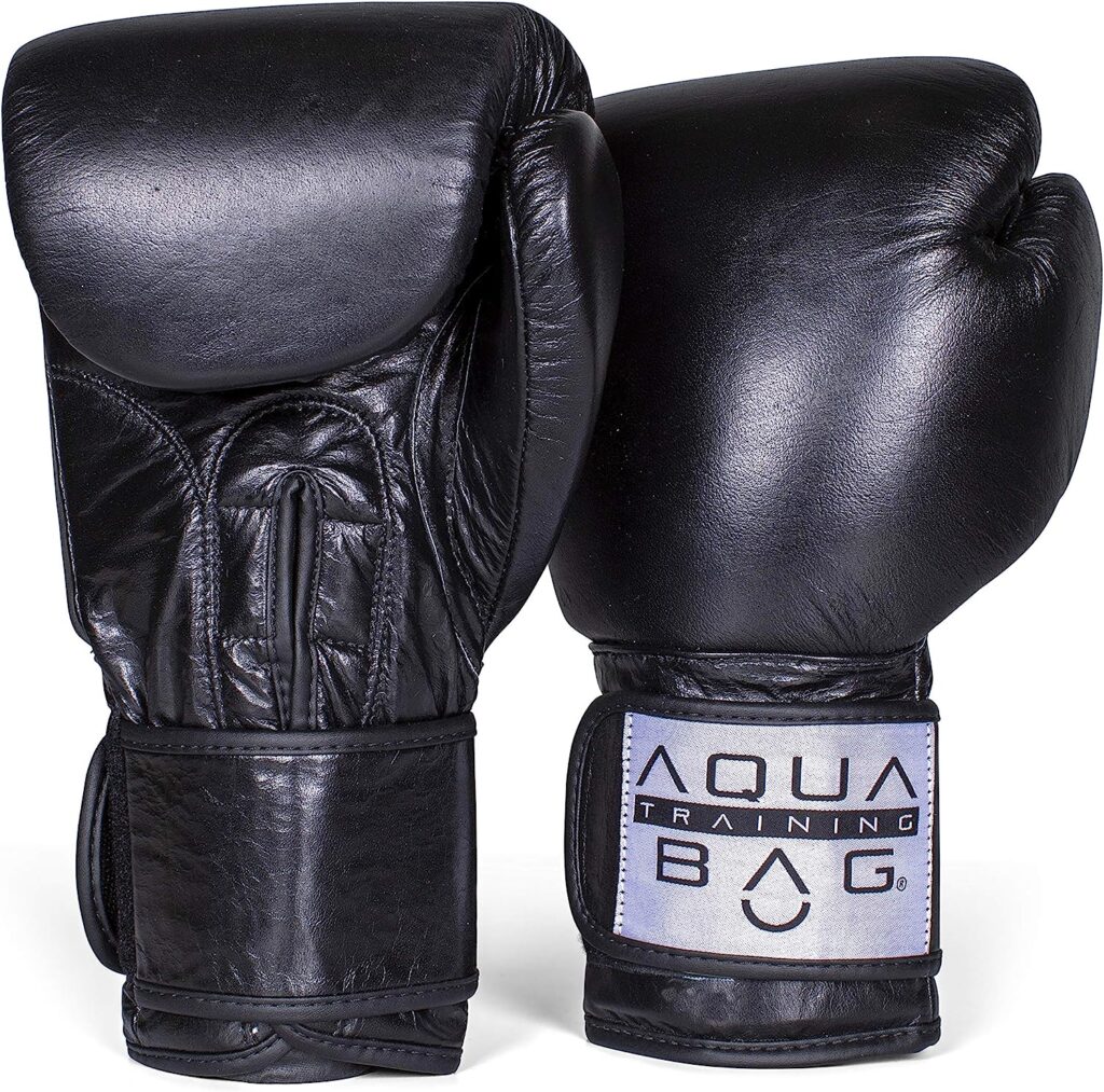 Aqua Boxing Gloves Net Worth 2024 exclusive BiographySearch