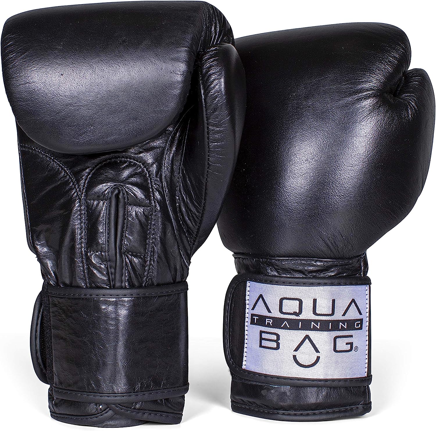 Aqua Boxing Gloves Net Worth