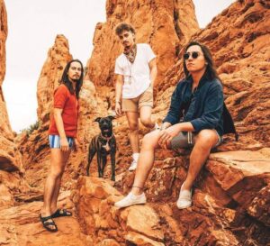 Greta Van Fleet Net Worth